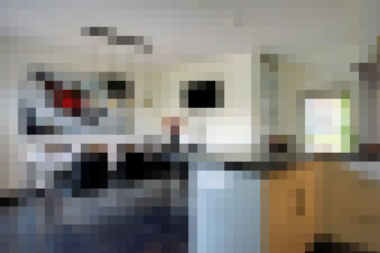 Lange Sissen 29 Appingedam thumbnail 34