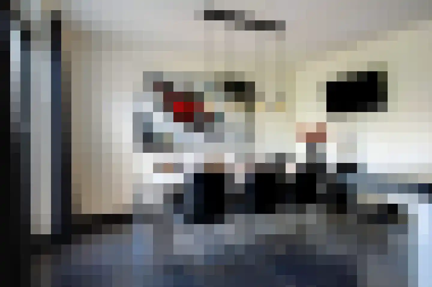 Lange Sissen 29 Appingedam thumbnail 35