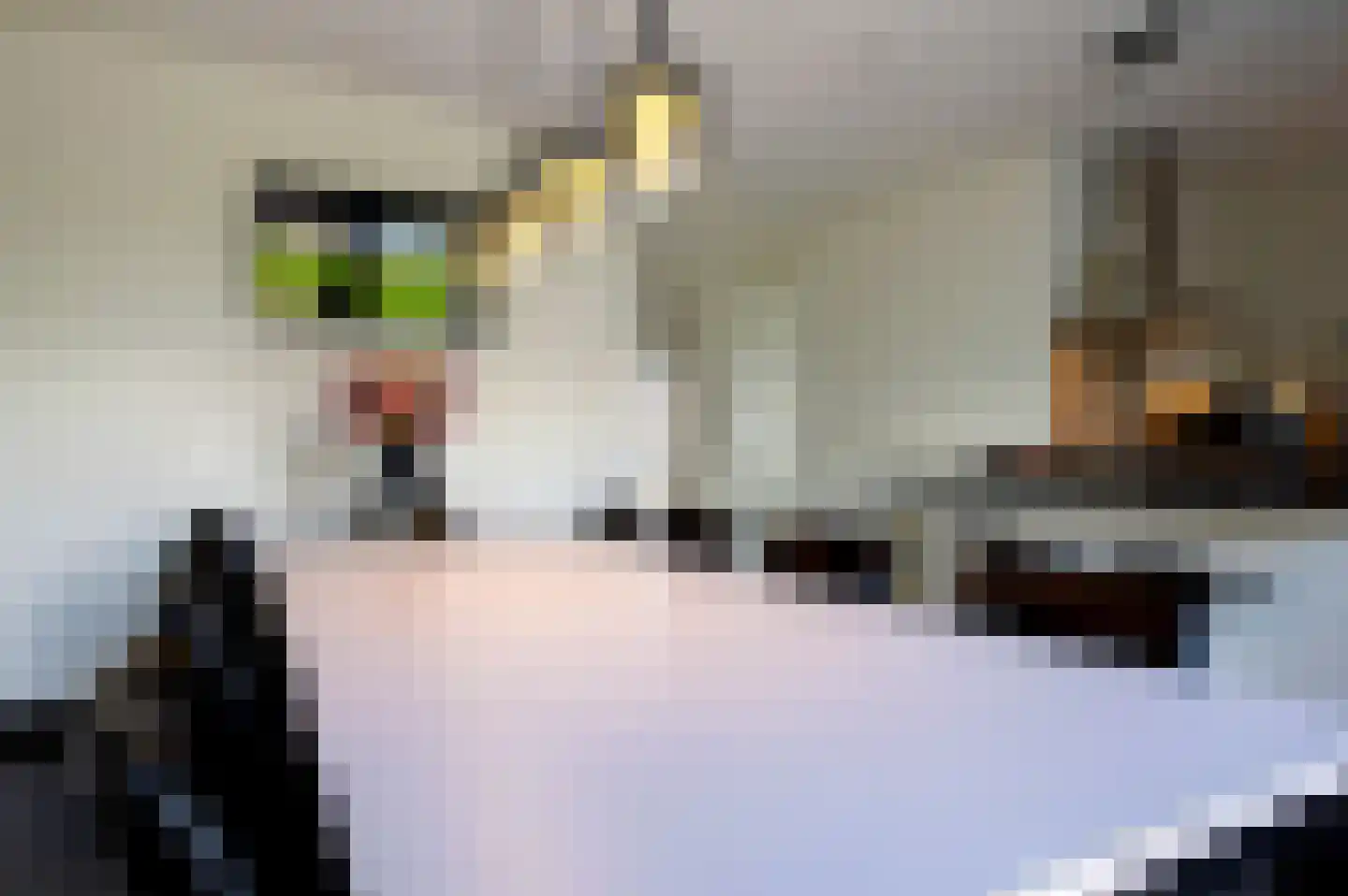 Lange Sissen 29 Appingedam thumbnail 46
