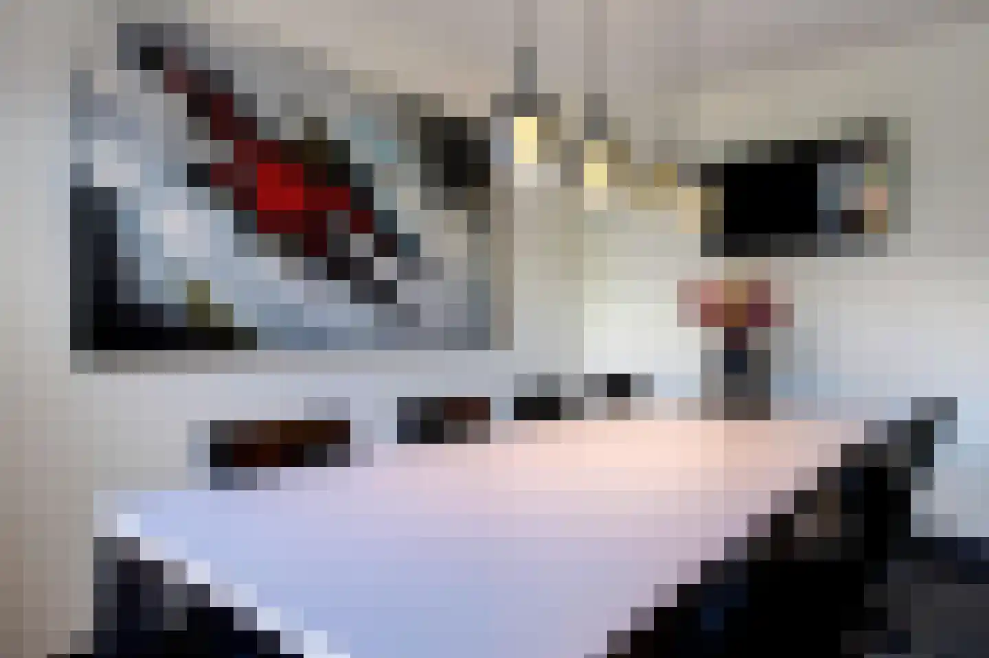 Lange Sissen 29 Appingedam thumbnail 47