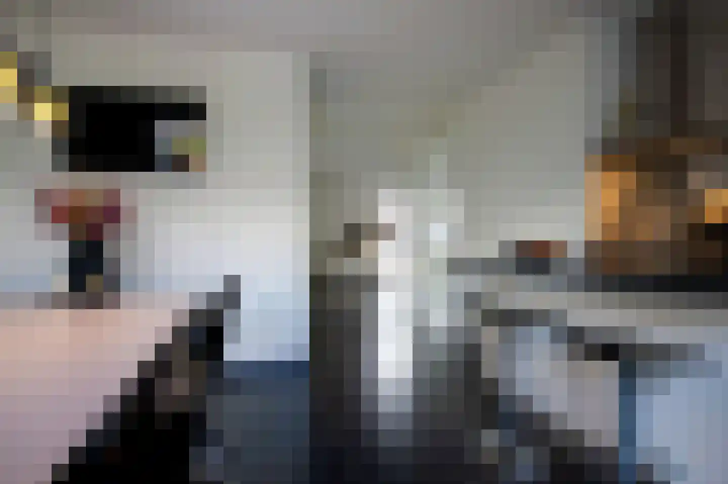 Lange Sissen 29 Appingedam thumbnail 48