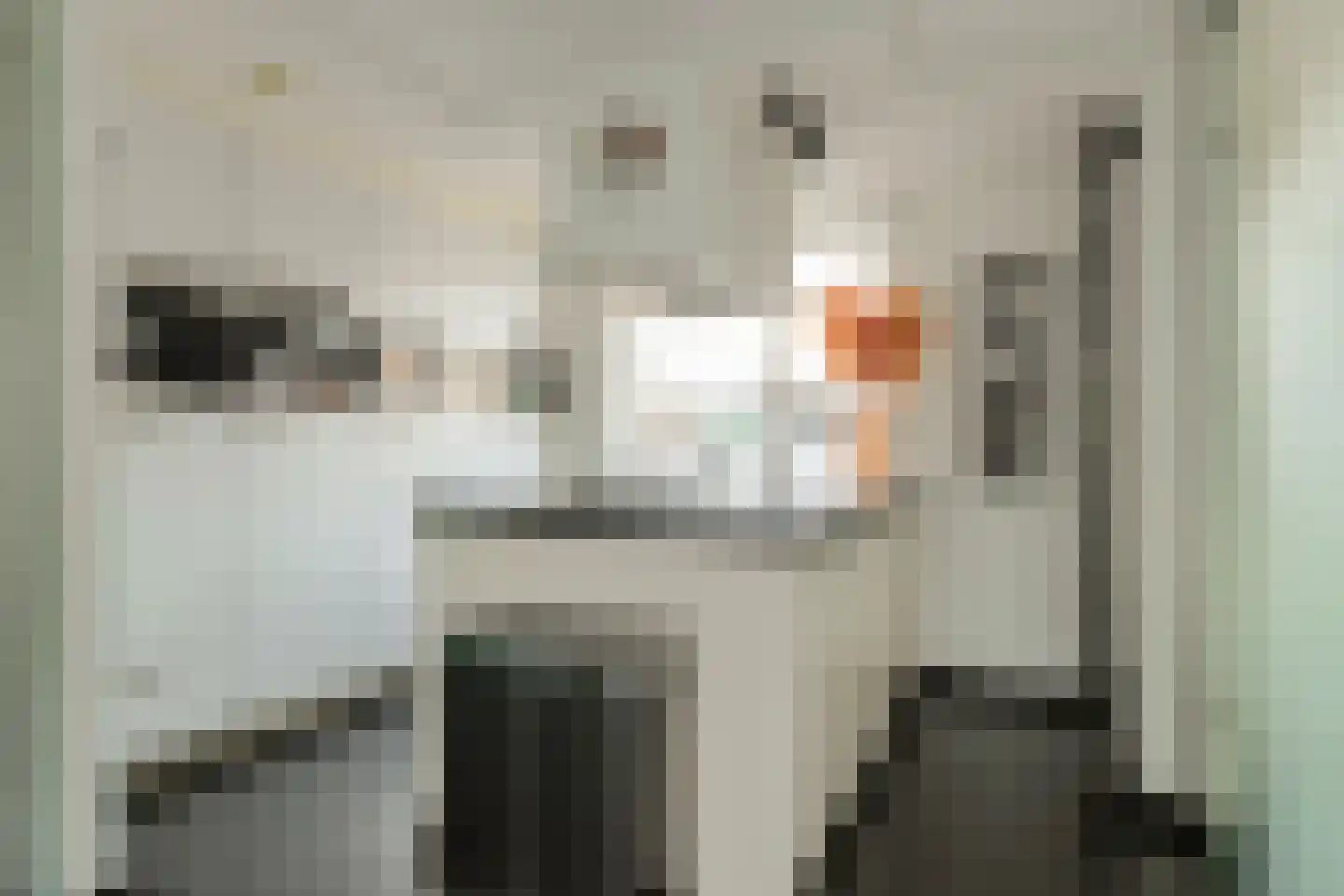 Lange Slagen 12 Breda thumbnail 10