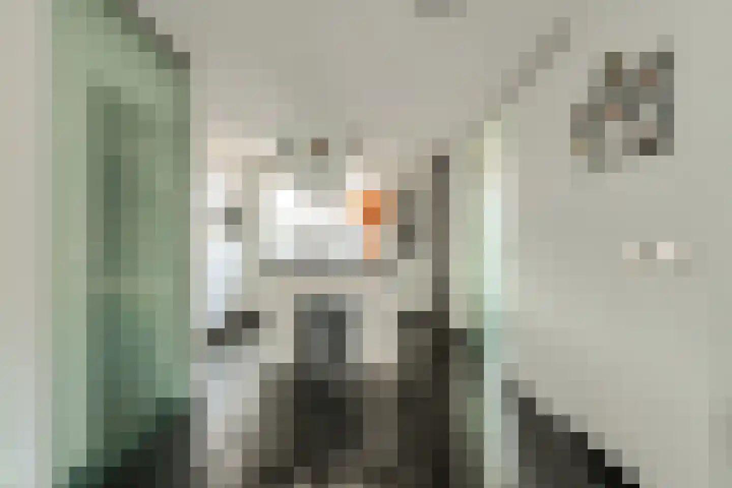 Lange Slagen 12 Breda thumbnail 8