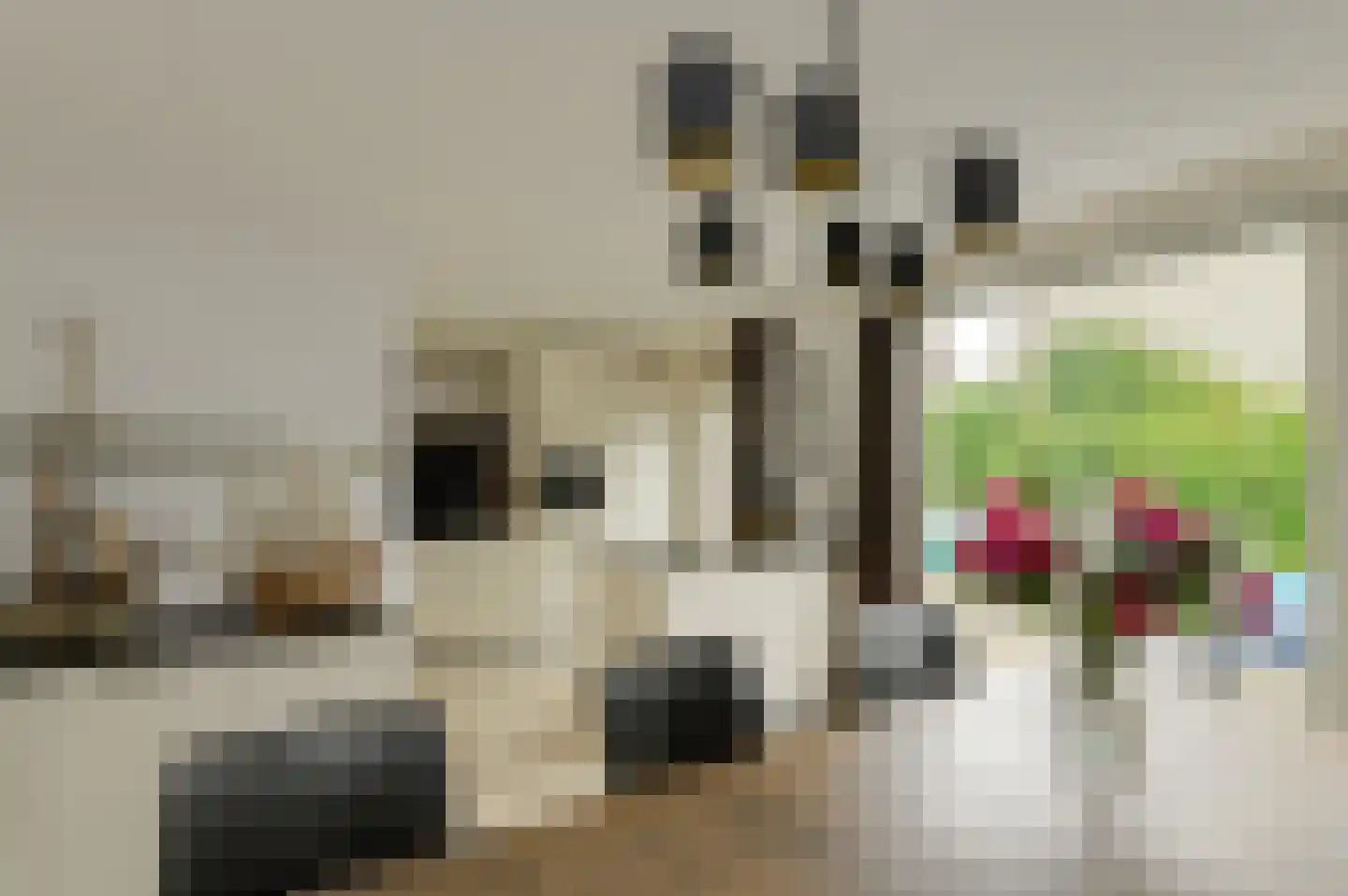 Lange Slagen 15 Breda thumbnail 14