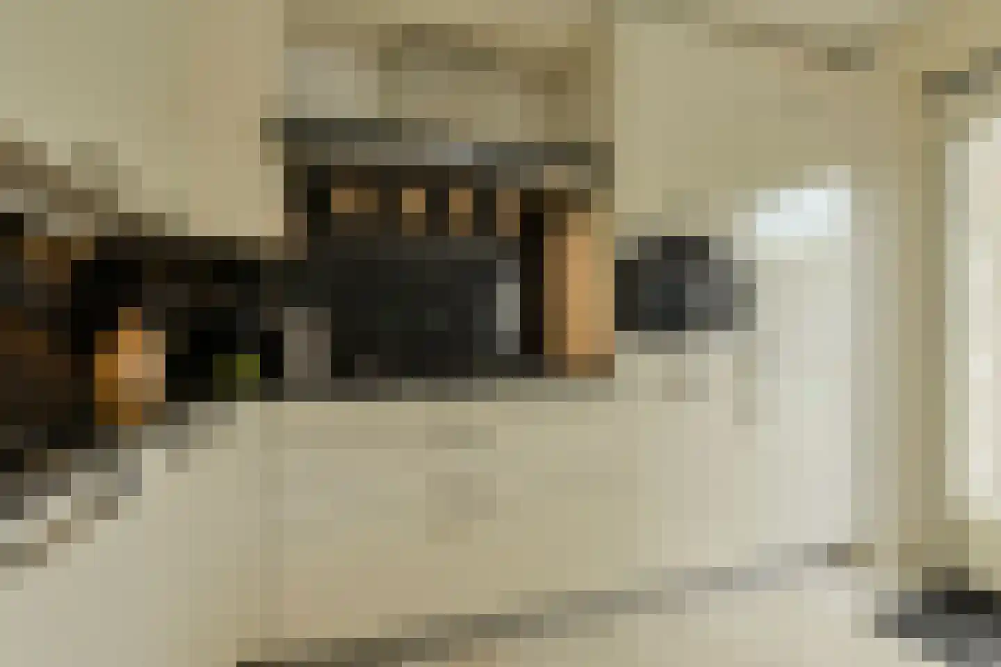 Lange Slagen 15 Breda thumbnail 15