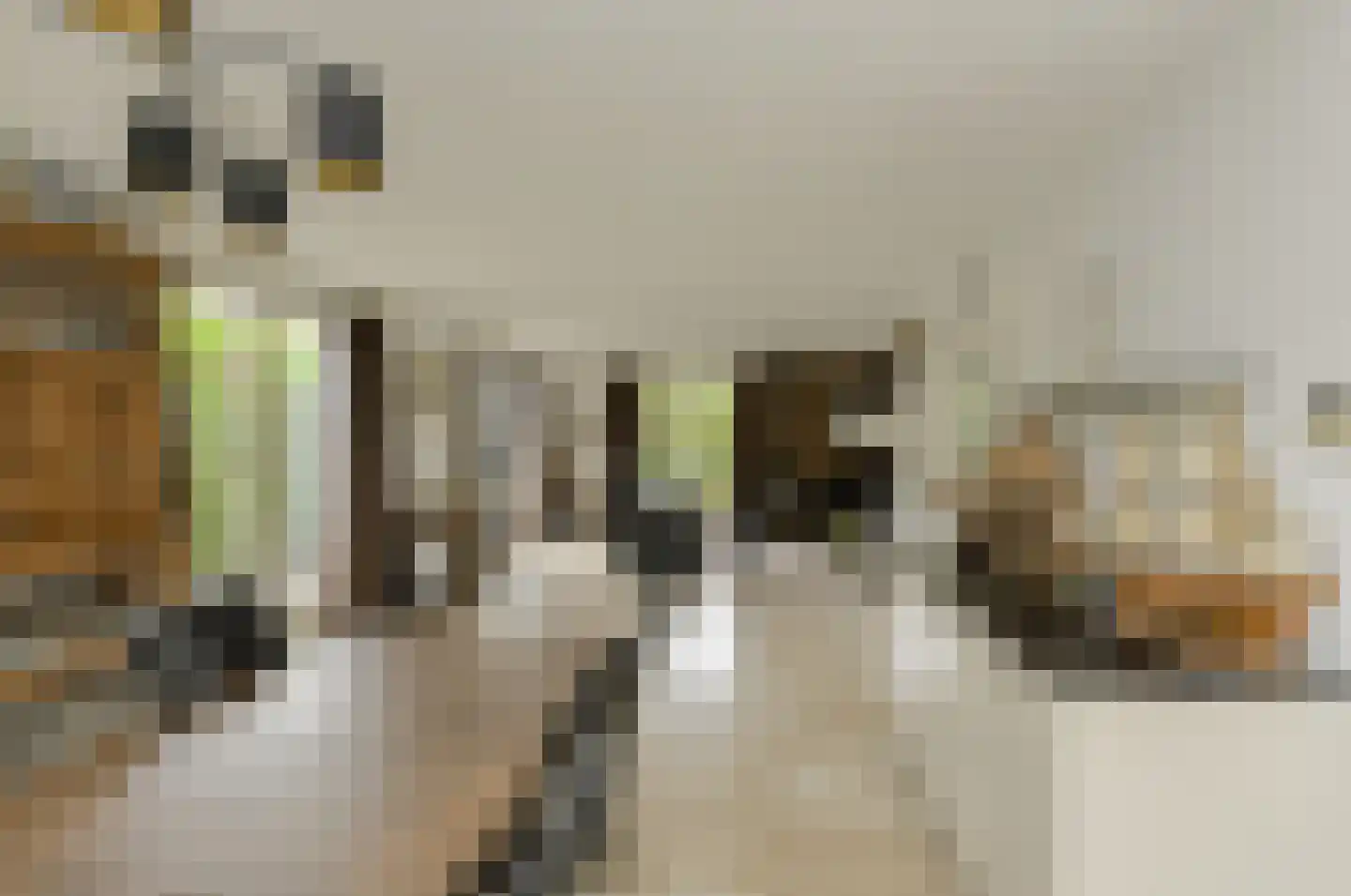 Lange Slagen 15 Breda thumbnail 19