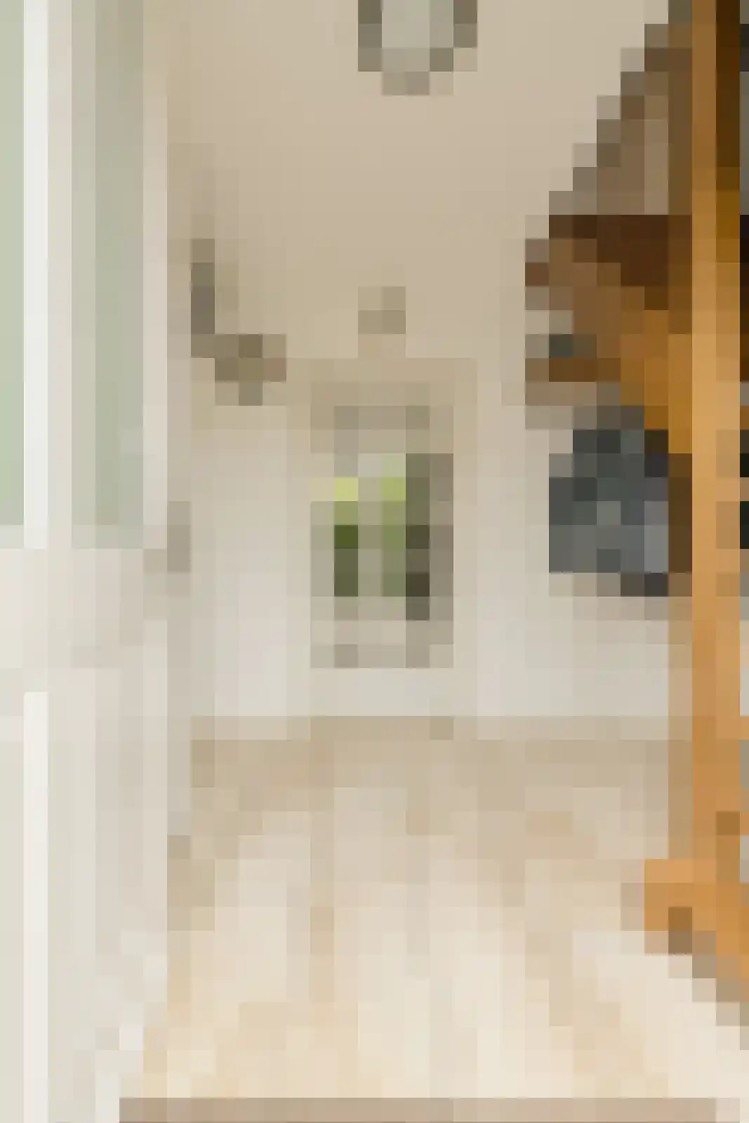 Lange Slagen 15 Breda thumbnail 21