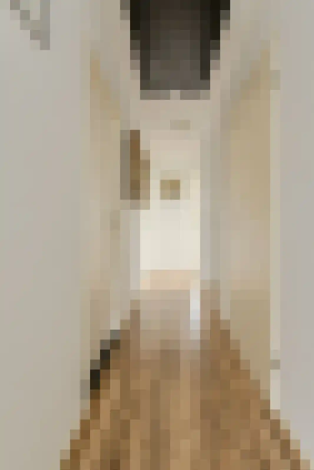 Lange Slagen 15 Breda thumbnail 30