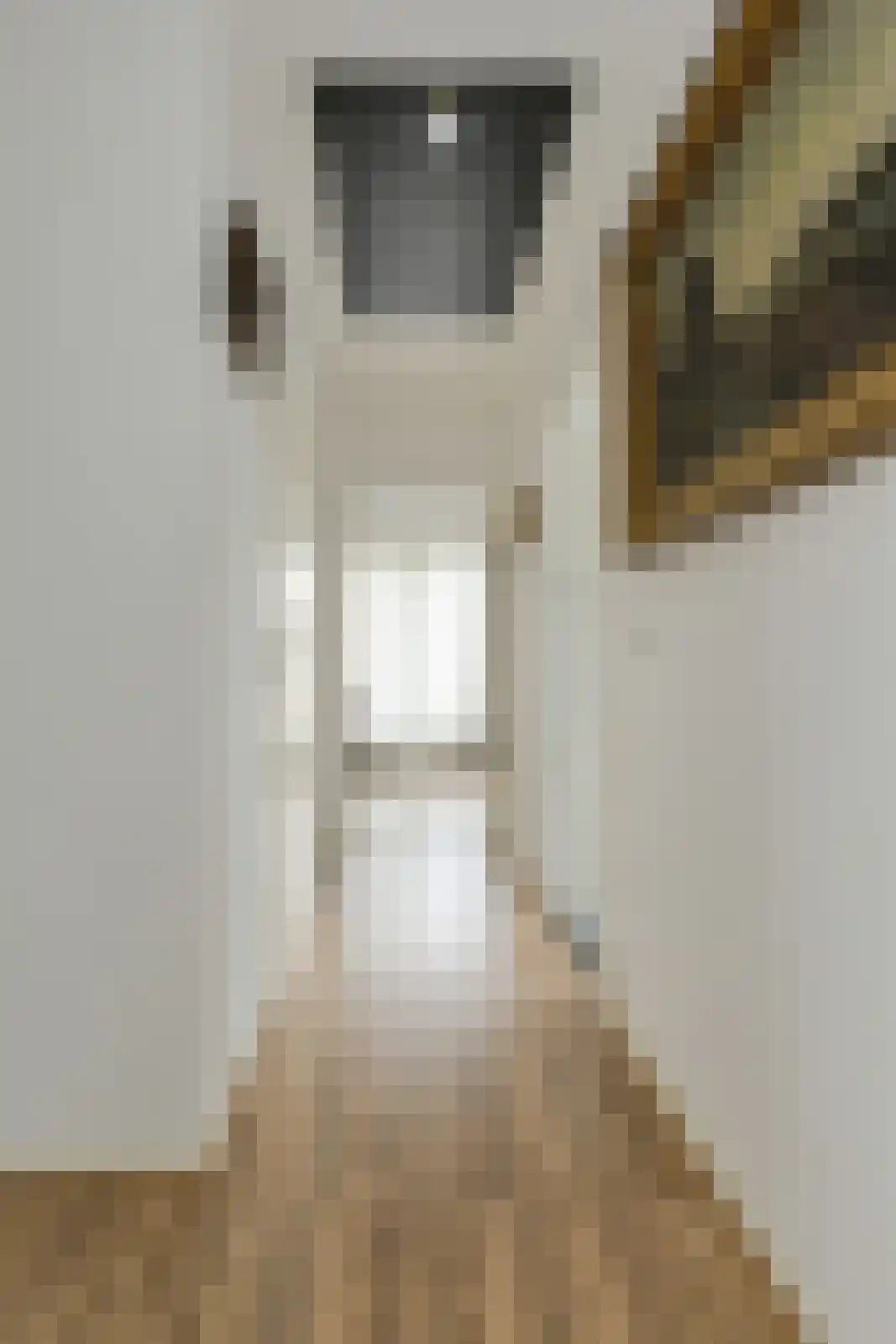 Lange Slagen 15 Breda thumbnail 34