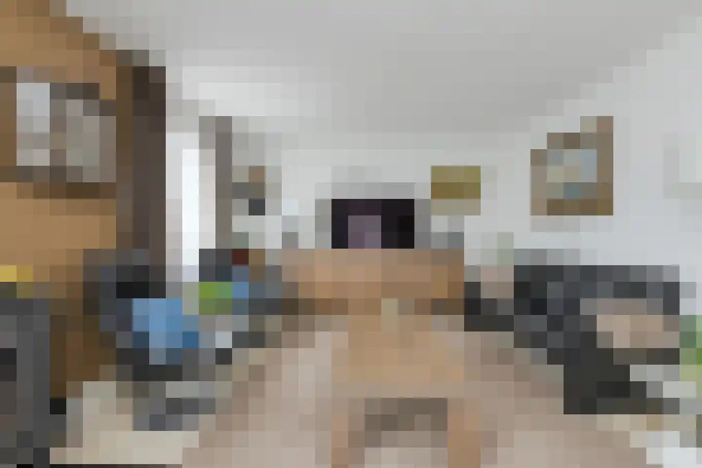 Lange Slagen 15 Breda thumbnail 8