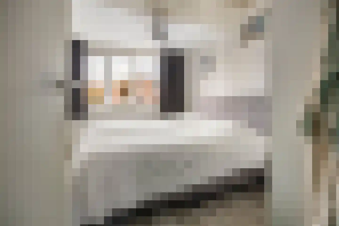 Lange Slagenstraat 11 Gorinchem thumbnail 15