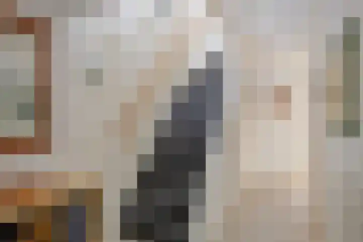 Lange Sloot 13 Velserbroek thumbnail 14