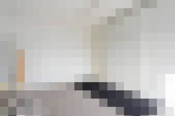 Lange Sloot 13 Velserbroek thumbnail 19