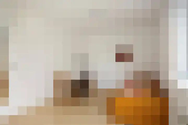 Lange Sloot 13 Velserbroek thumbnail 21
