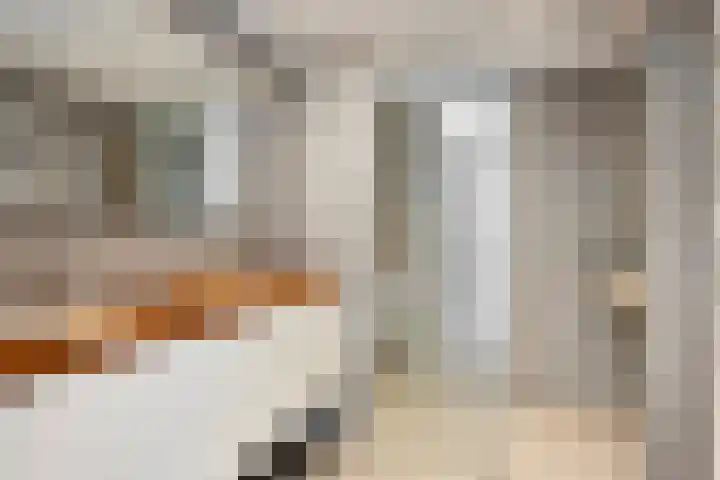 Lange Sloot 13 Velserbroek thumbnail 22