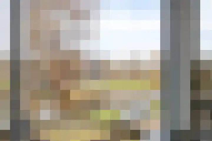 Lange Sloot 13 Velserbroek thumbnail 25
