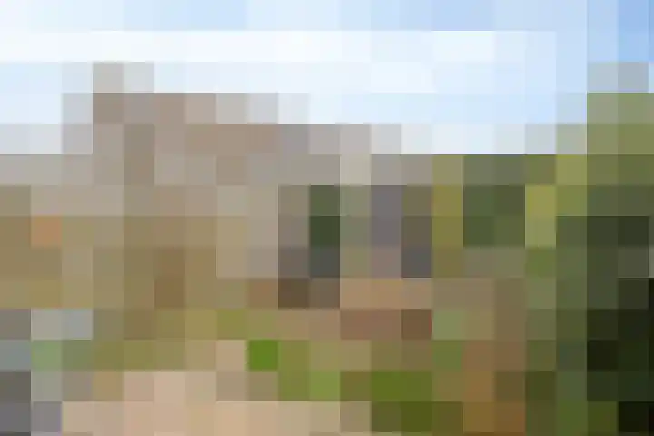 Lange Sloot 13 Velserbroek thumbnail 26