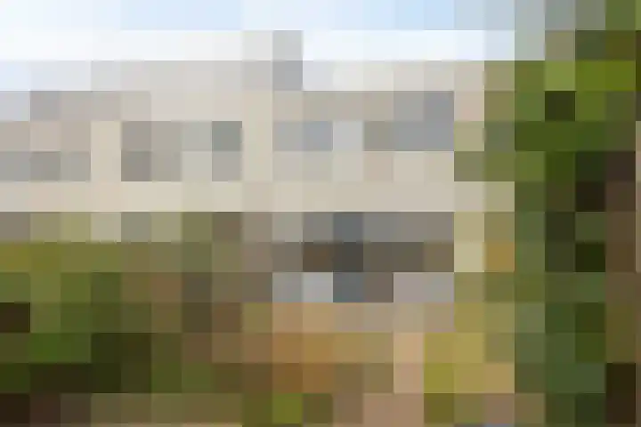 Lange Sloot 13 Velserbroek thumbnail 29