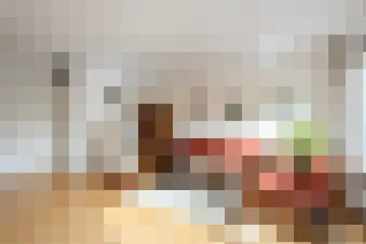 Lange Sloot 13 Velserbroek foto 3