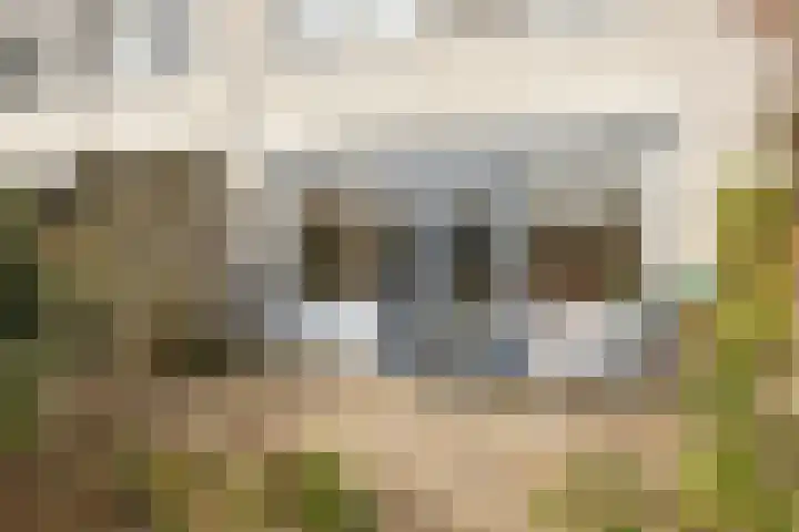 Lange Sloot 13 Velserbroek thumbnail 30