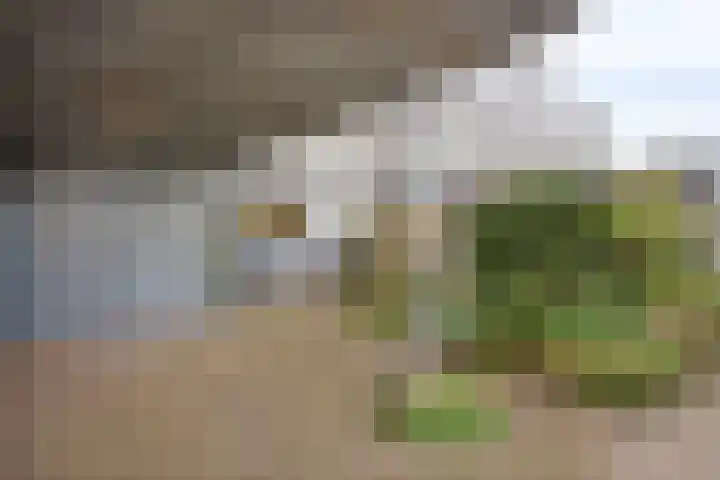 Lange Sloot 13 Velserbroek thumbnail 32