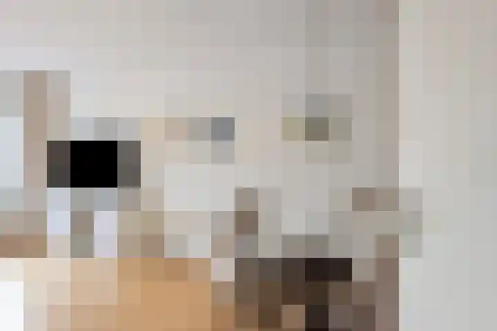 Lange Sloot 13 Velserbroek thumbnail 4
