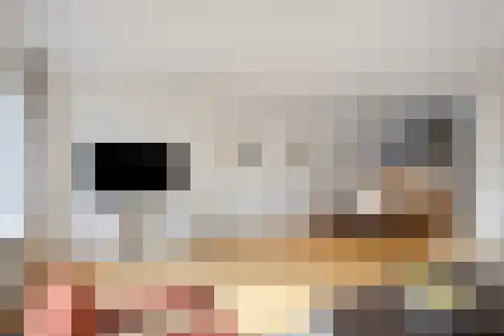 Lange Sloot 13 Velserbroek thumbnail 5