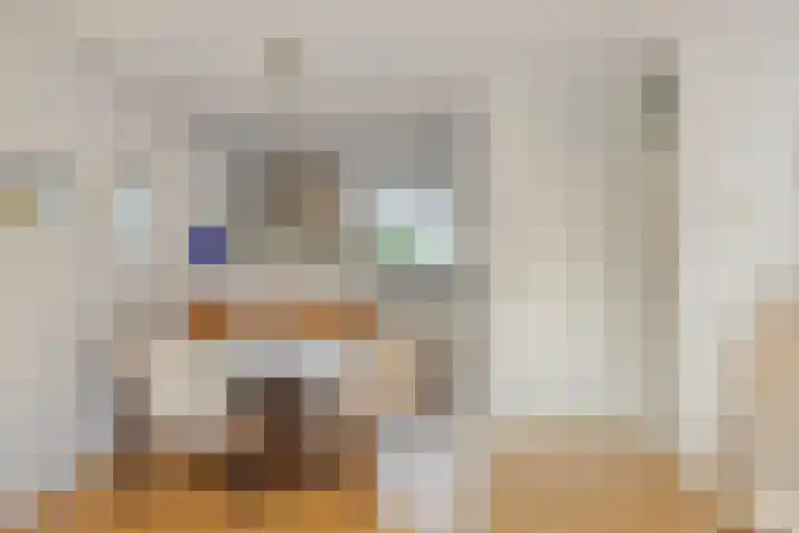 Lange Sloot 13 Velserbroek thumbnail 7