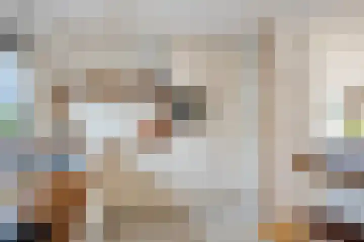 Lange Sloot 13 Velserbroek thumbnail 9