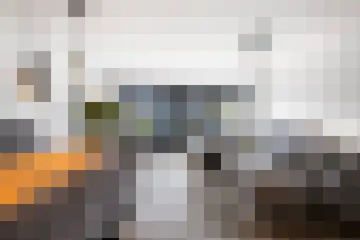 Lange Sloot 54 Velserbroek thumbnail 10