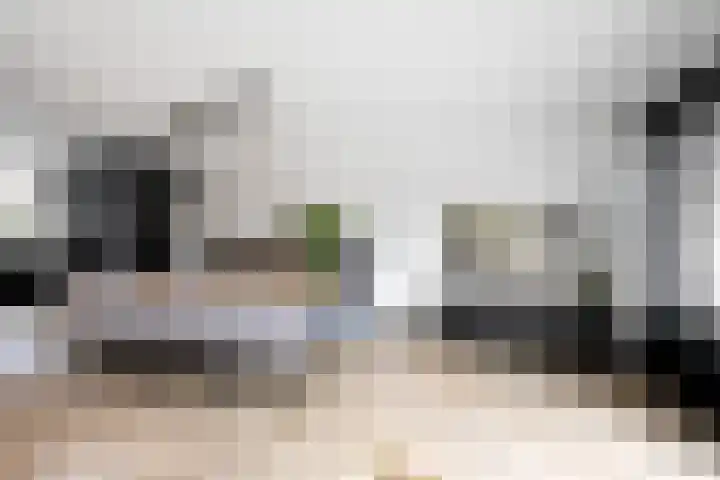 Lange Sloot 54 Velserbroek thumbnail 13