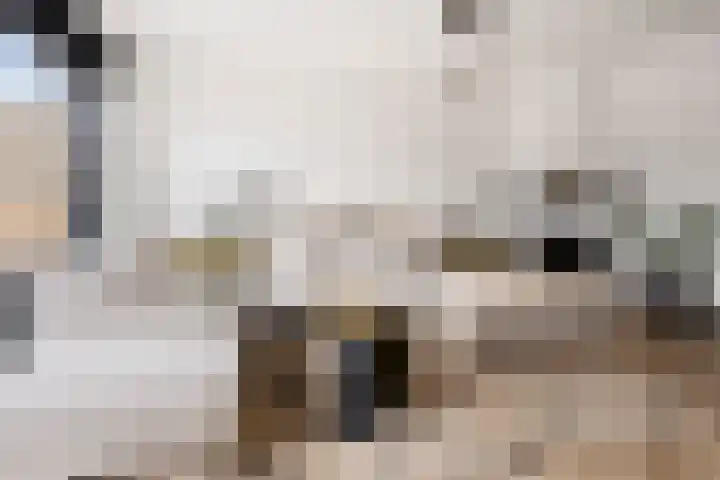 Lange Sloot 54 Velserbroek thumbnail 15