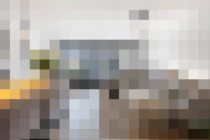 Lange Sloot 54 Velserbroek foto 2