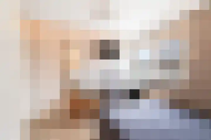 Lange Sloot 54 Velserbroek thumbnail 38