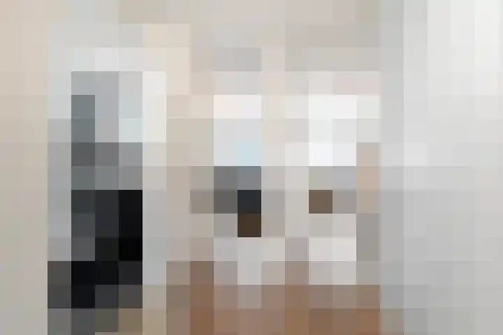 Lange Sloot 54 Velserbroek thumbnail 40