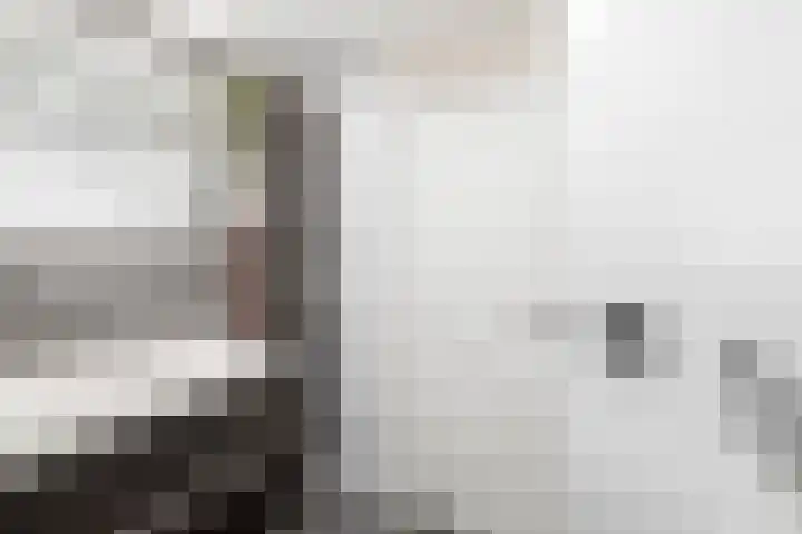 Lange Sloot 54 Velserbroek thumbnail 44