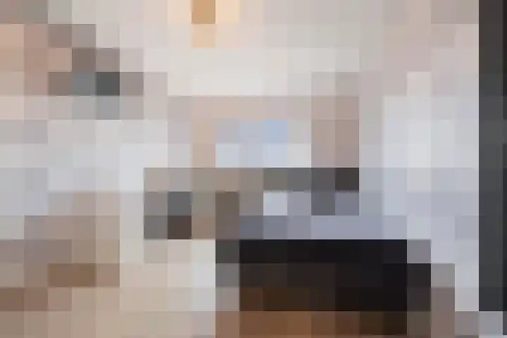 Lange Sloot 54 Velserbroek thumbnail 45