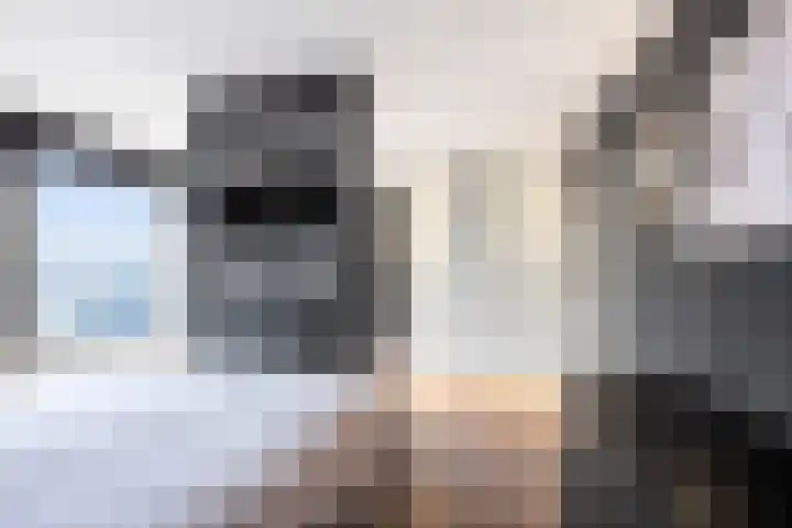 Lange Sloot 54 Velserbroek thumbnail 56