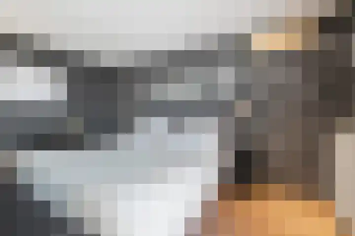 Lange Sloot 54 Velserbroek thumbnail 58
