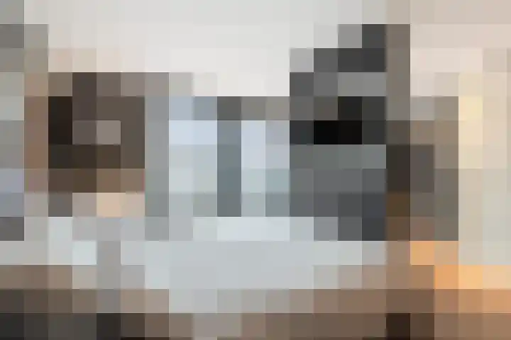 Lange Sloot 54 Velserbroek thumbnail 60
