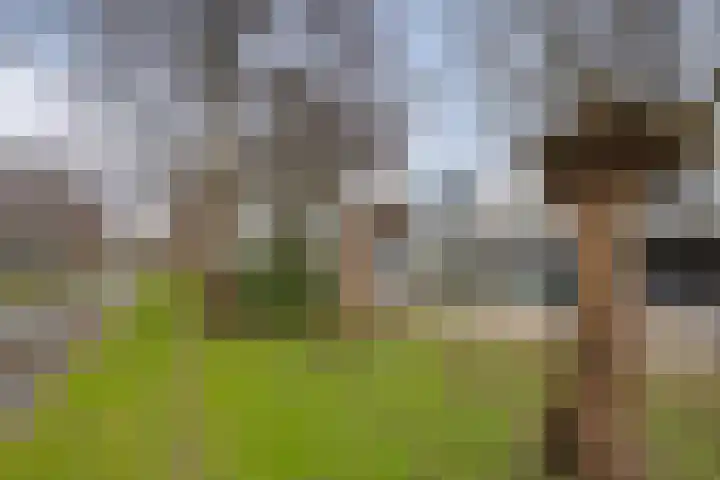 Lange Sloot 54 Velserbroek thumbnail 70