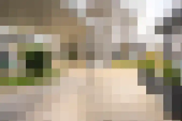 Lange Sloot 54 Velserbroek thumbnail 8
