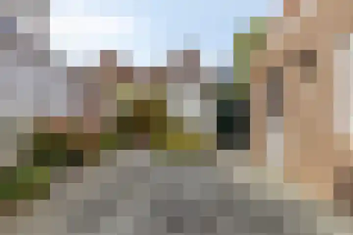 Lange St. Janstraat 34 Zierikzee thumbnail 37