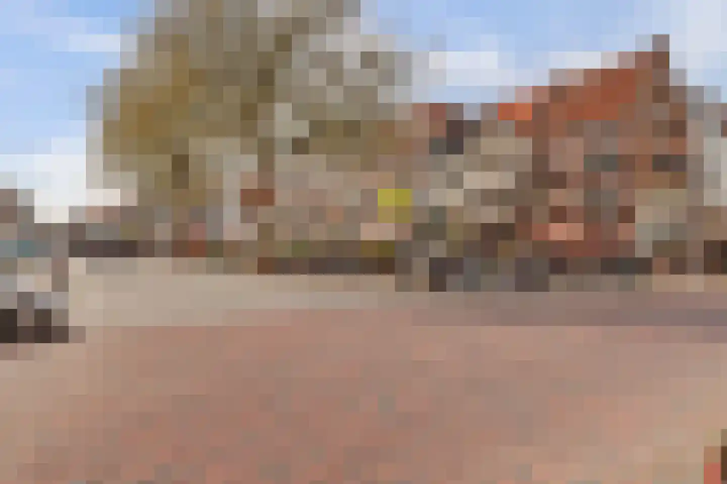 Lange Steigerstraat 12 a Zaltbommel thumbnail 41