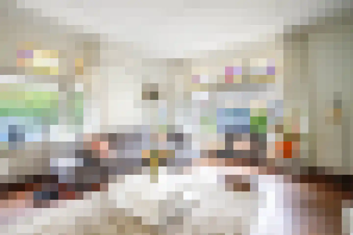 Lange Stoep 6 Lekkerkerk thumbnail 10