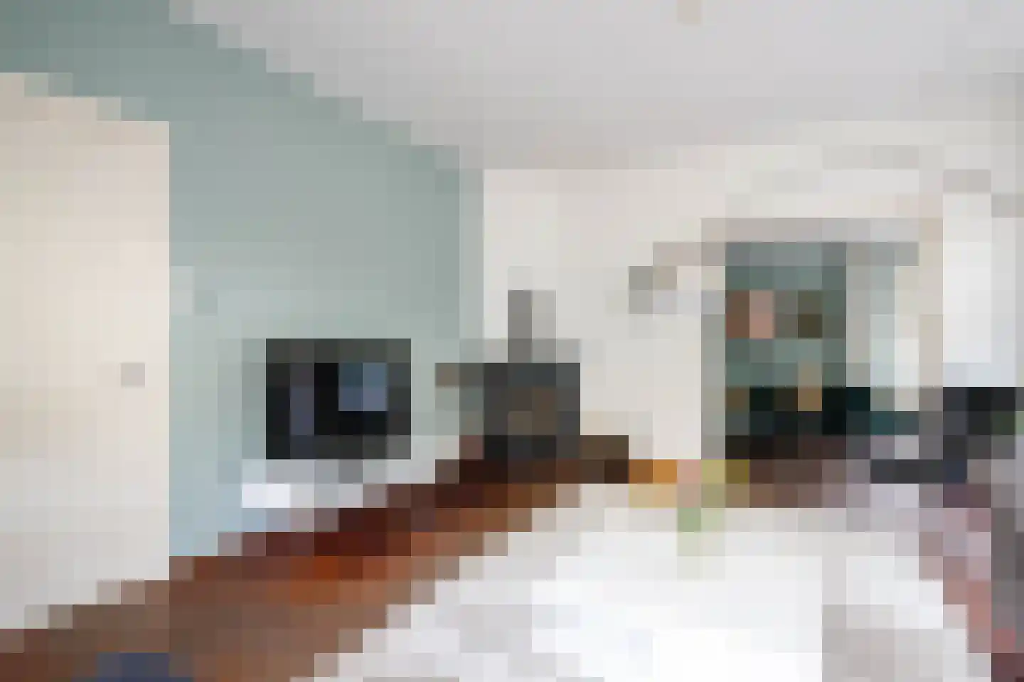 Lange Stoep 6 Lekkerkerk thumbnail 13