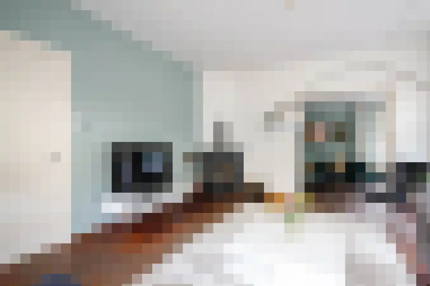 Lange Stoep 6 Lekkerkerk thumbnail 13