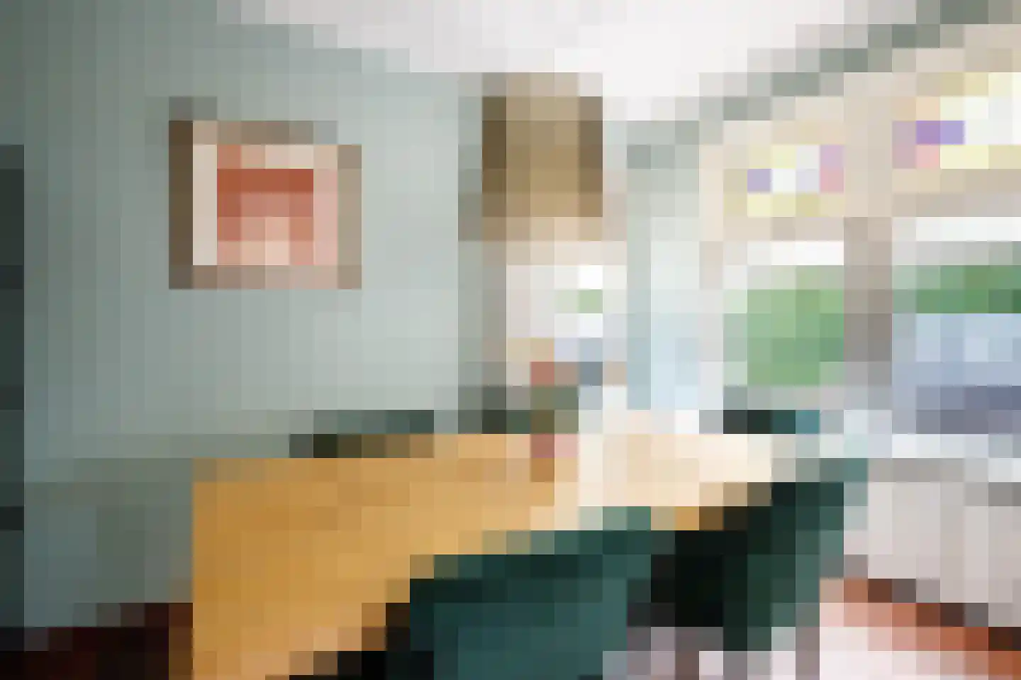 Lange Stoep 6 Lekkerkerk thumbnail 15