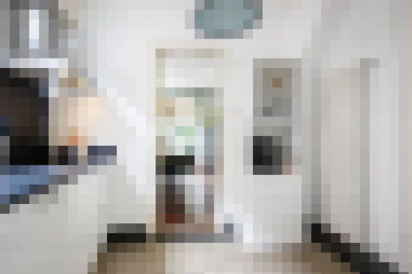Lange Stoep 6 Lekkerkerk thumbnail 19