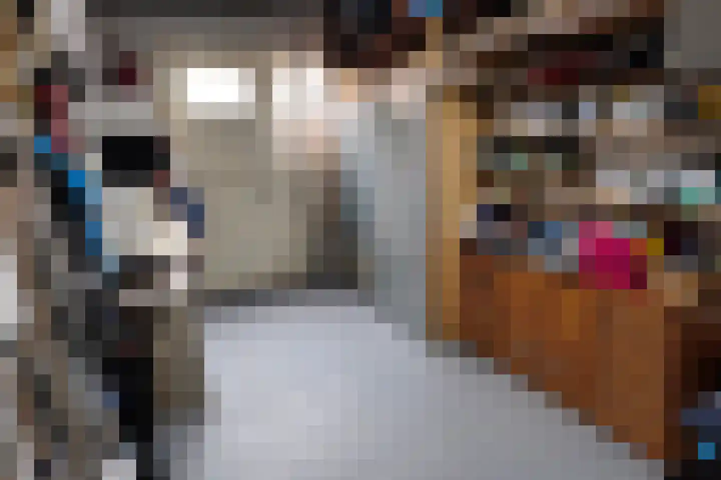 Lange Stoep 6 Lekkerkerk thumbnail 21